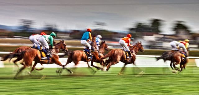 flat racing