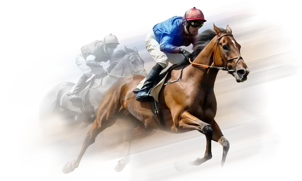 amwager-horse-racing-bet-now-v2-2